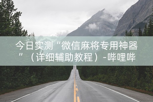 今日实测“微信麻将专用神器”（详细辅助教程）-哔哩哔哩