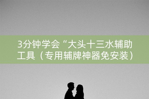 3分钟学会“大头十三水辅助工具（专用辅牌神器免安装）