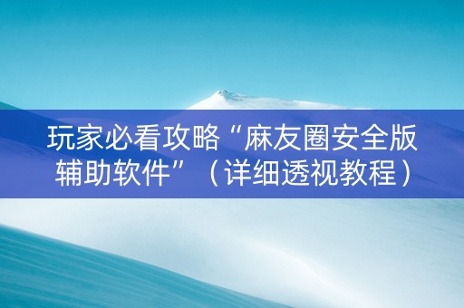 玩家必看攻略“麻友圈安全版辅助软件”（详细透视教程）-哔哩哔哩