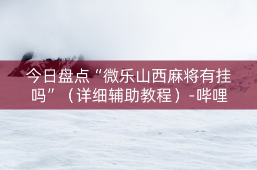 今日盘点“微乐山西麻将有挂吗”（详细辅助教程）-哔哩哔哩