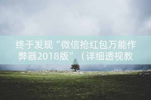 终于发现“微信抢红包万能作弊器2018版”（详细透视教程）-哔哩哔哩