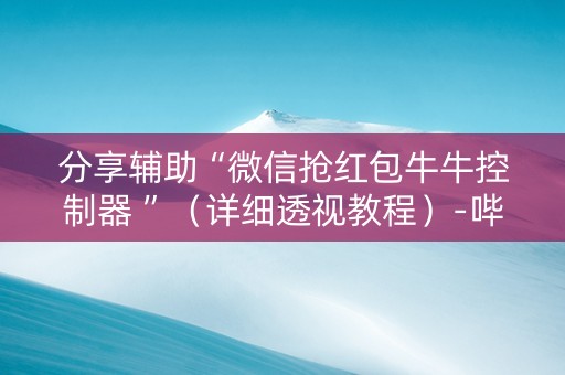 分享辅助“微信抢红包牛牛控制器 ”（详细透视教程）-哔哩哔哩