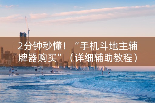 2分钟秒懂！“手机斗地主辅牌器购买”（详细辅助教程）-哔哩哔哩