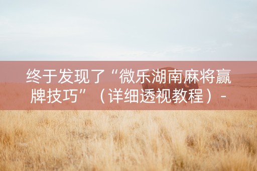终于发现了“微乐湖南麻将赢牌技巧”（详细透视教程）-哔哩哔哩