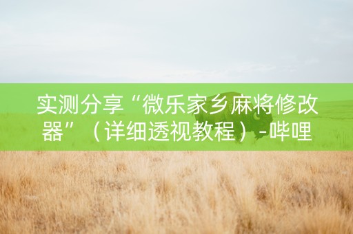 实测分享“微乐家乡麻将修改器”（详细透视教程）-哔哩哔哩