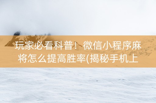 玩家必看科普！微信小程序麻将怎么提高胜率(揭秘手机上辅牌器)