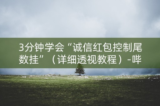 3分钟学会“诚信红包控制尾数挂”（详细透视教程）-哔哩哔哩