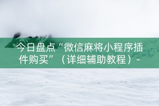 今日盘点“微信麻将小程序插件购买”（详细辅助教程）-哔哩哔哩