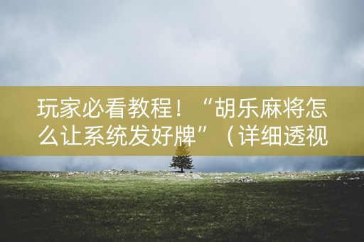 玩家必看教程！“胡乐麻将怎么让系统发好牌”（详细透视教程）-哔哩哔哩