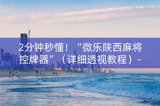 2分钟秒懂！“微乐陕西麻将控牌器”（详细透视教程）-哔哩哔哩
