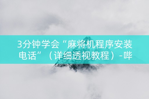 3分钟学会“麻将机程序安装电话”（详细透视教程）-哔哩哔哩