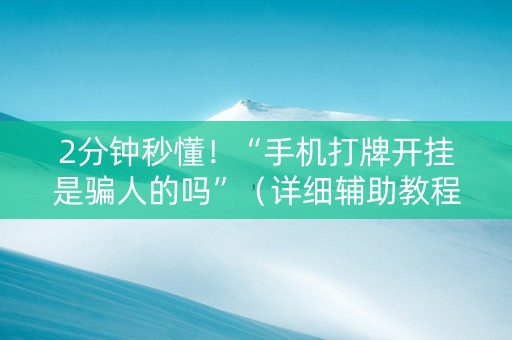 2分钟秒懂！“手机打牌开挂是骗人的吗”（详细辅助教程）-哔哩哔哩