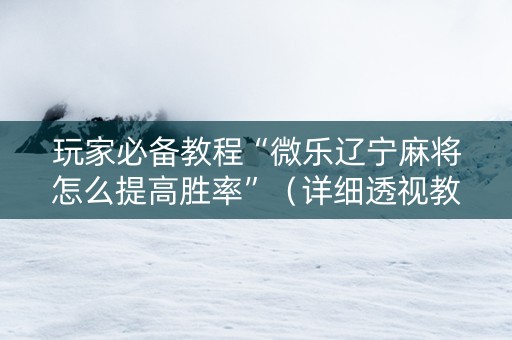 玩家必备教程“微乐辽宁麻将怎么提高胜率”（详细透视教程）-哔哩哔哩