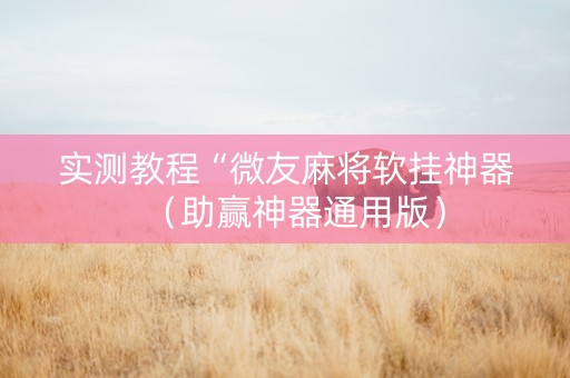 实测教程“微友麻将软挂神器（助赢神器通用版）