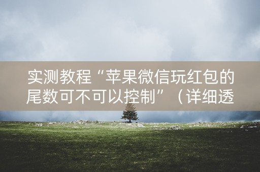 实测教程“苹果微信玩红包的尾数可不可以控制”（详细透视教程）-哔哩哔哩