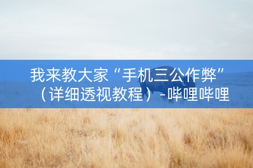我来教大家“手机三公作弊”（详细透视教程）-哔哩哔哩