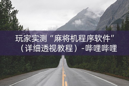 玩家实测“麻将机程序软件”（详细透视教程）-哔哩哔哩