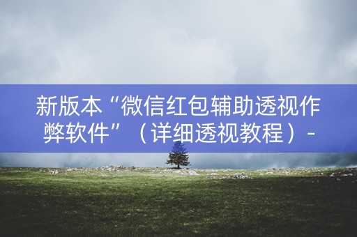 新版本“微信红包辅助透视作弊软件”（详细透视教程）-哔哩哔哩