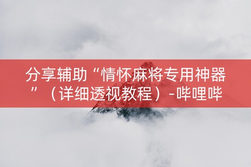 分享辅助“情怀麻将专用神器”（详细透视教程）-哔哩哔哩