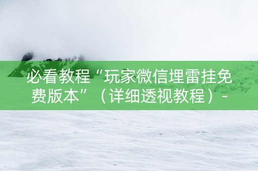 必看教程“玩家微信埋雷挂免费版本”（详细透视教程）-哔哩哔哩