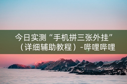 今日实测“手机拼三张外挂”（详细辅助教程）-哔哩哔哩