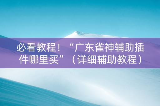 必看教程！“广东雀神辅助插件哪里买”（详细辅助教程）-哔哩哔哩