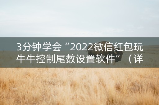 3分钟学会“2022微信红包玩牛牛控制尾数设置软件”（详细透视教程）-哔哩哔哩