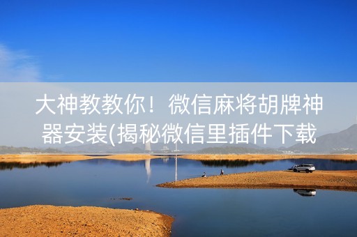 大神教教你！微信麻将胡牌神器安装(揭秘微信里插件下载)