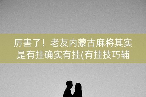 厉害了！老友内蒙古麻将其实是有挂确实有挂(有挂技巧辅助器)