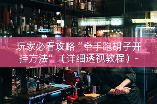 玩家必看攻略“牵手跑胡子开挂方法”（详细透视教程）-哔哩哔哩