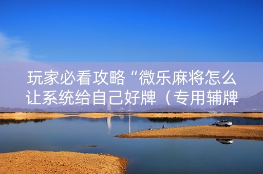 玩家必看攻略“微乐麻将怎么让系统给自己好牌（专用辅牌神器免安装）