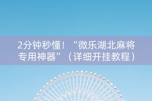 2分钟秒懂！“微乐湖北麻将专用神器”（详细开挂教程）-哔哩哔哩