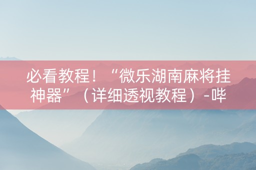 必看教程！“微乐湖南麻将挂神器”（详细透视教程）-哔哩哔哩
