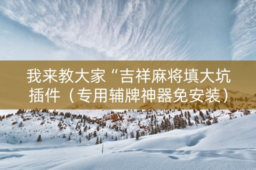 我来教大家“吉祥麻将填大坑插件（专用辅牌神器免安装）