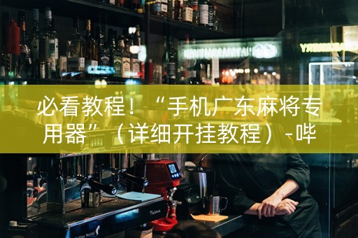 必看教程！“手机广东麻将专用器”（详细开挂教程）-哔哩哔哩