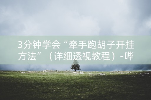3分钟学会“牵手跑胡子开挂方法”（详细透视教程）-哔哩哔哩