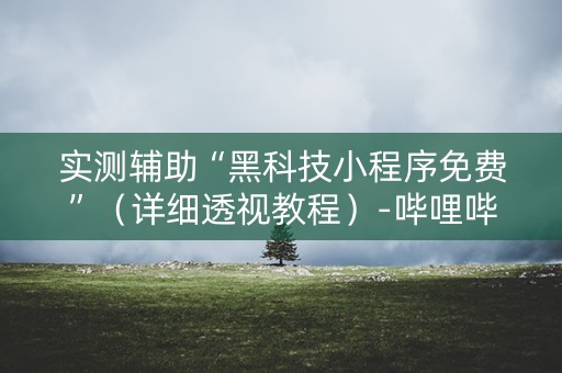 实测辅助“黑科技小程序免费”（详细透视教程）-哔哩哔哩