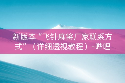 新版本“飞针麻将厂家联系方式”（详细透视教程）-哔哩哔哩