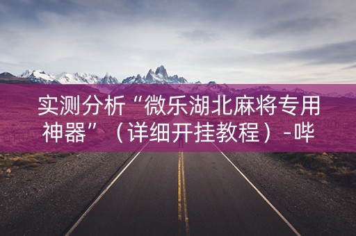 实测分析“微乐湖北麻将专用神器”（详细开挂教程）-哔哩哔哩