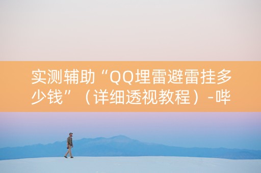实测辅助“QQ埋雷避雷挂多少钱”（详细透视教程）-哔哩哔哩