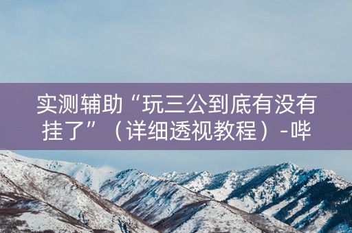 实测辅助“玩三公到底有没有挂了”（详细透视教程）-哔哩哔哩