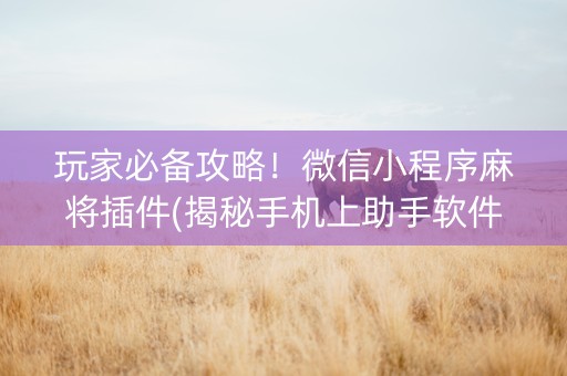 玩家必备攻略！微信小程序麻将插件(揭秘手机上助手软件)