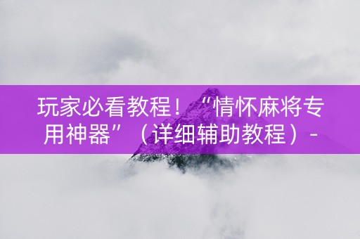 玩家必看教程！“情怀麻将专用神器”（详细辅助教程）-哔哩哔哩