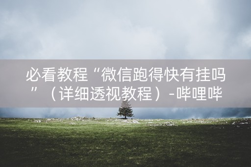 必看教程“微信跑得快有挂吗”（详细透视教程）-哔哩哔哩
