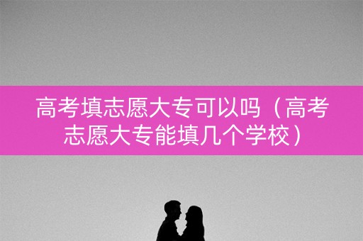 高考填志愿大专可以吗（高考志愿大专能填几个学校）