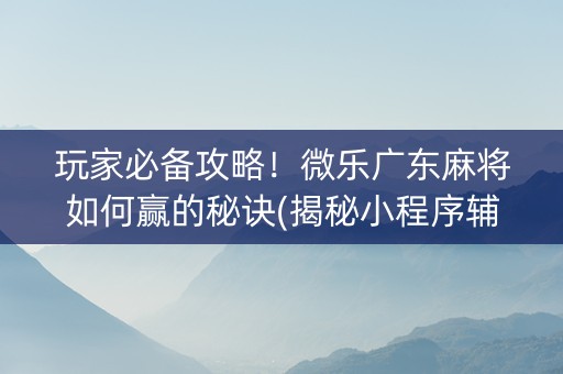 玩家必备攻略！微乐广东麻将如何赢的秘诀(揭秘小程序辅牌器)