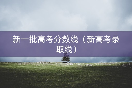 新一批高考分数线（新高考录取线）