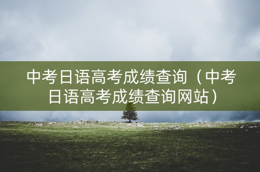 中考日语高考成绩查询（中考日语高考成绩查询网站）