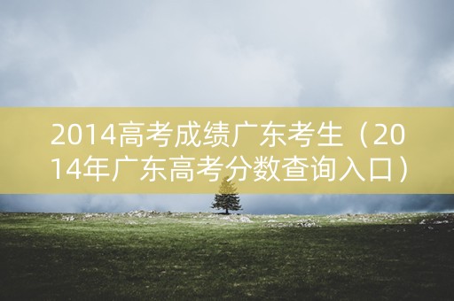 2014高考成绩广东考生（2014年广东高考分数查询入口）