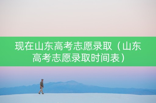 现在山东高考志愿录取（山东高考志愿录取时间表）